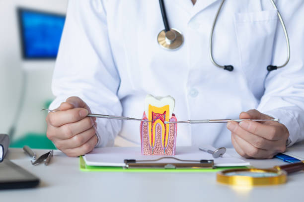 Best Emergency Root Canal Treatment in Grass Lake, MI